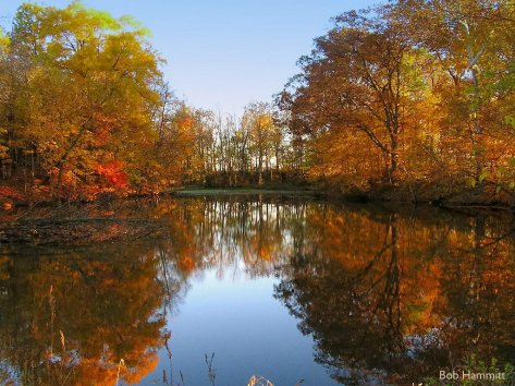 reflections_of_fall